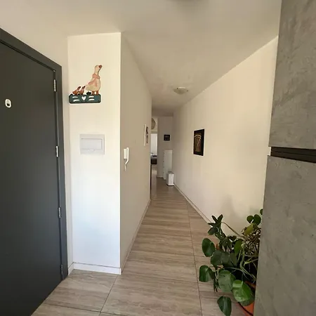 Apartment Amazing Penthouse Two Terrace 5 Minutes To The Close To The Main Area Msida